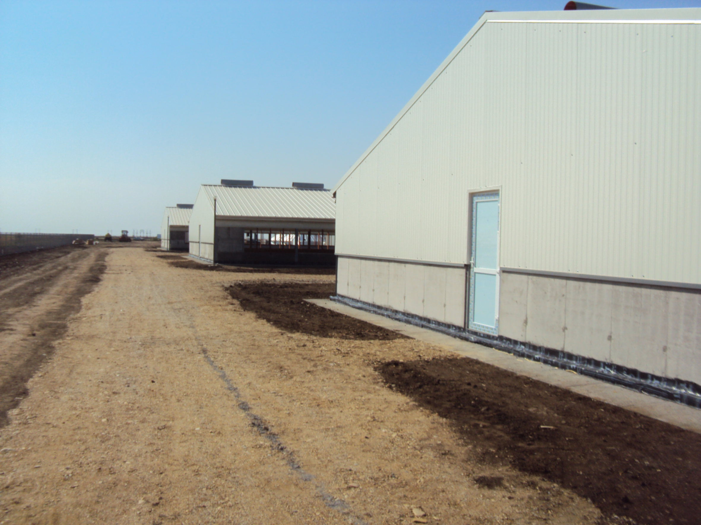 Fermă îngrășare suine